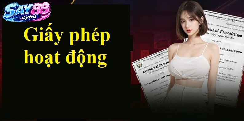 Khám Phá Giấy Phép Hoạt Động Say88 Trước Khi Tham Gia