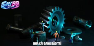 Hoạt Động Bảo Trì Say88 Giúp Cải Thiện Điều Gì?
